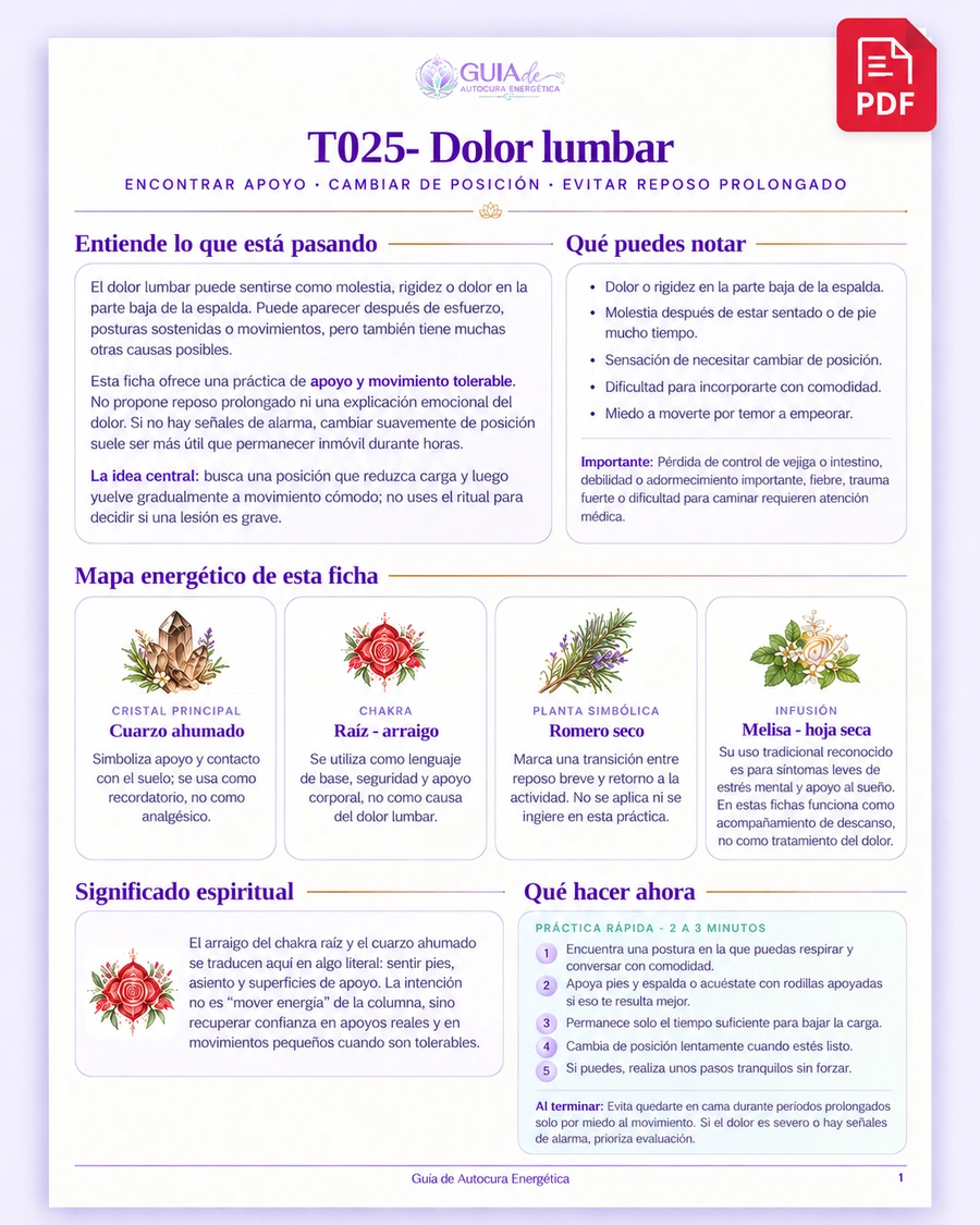 Ficha de la guía: dolor lumbar