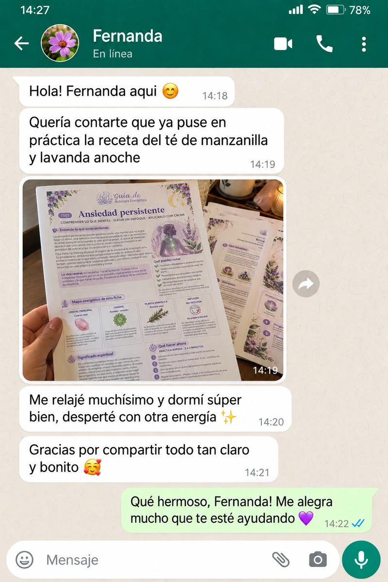 Conversación de WhatsApp de Fernanda